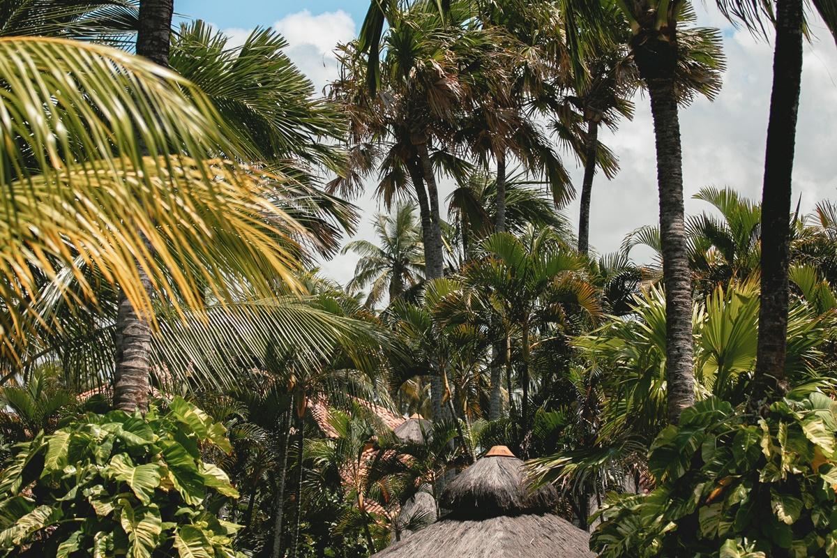 Ocapora Hotel All Inclusive Pôrto das Galinhas Eksteriør billede
